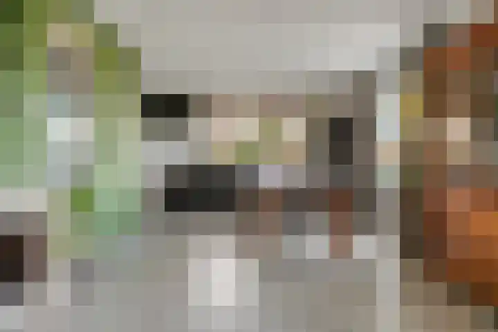 De Geer 1 Ophemert thumbnail 20