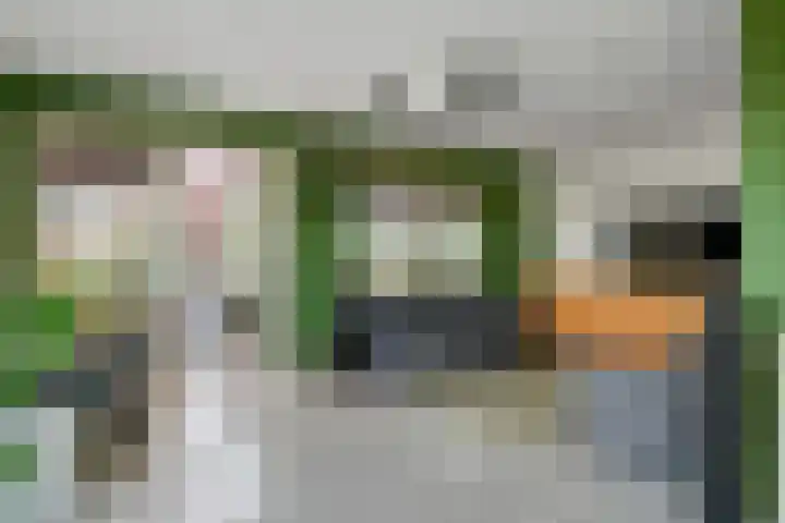 De Geer 1 Ophemert thumbnail 21