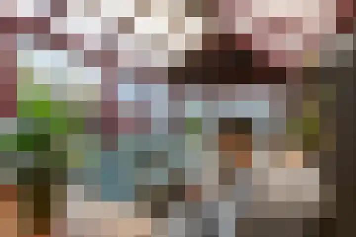 De Geer 1 Ophemert thumbnail 22