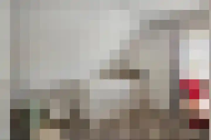 De Geer 1 Ophemert thumbnail 24