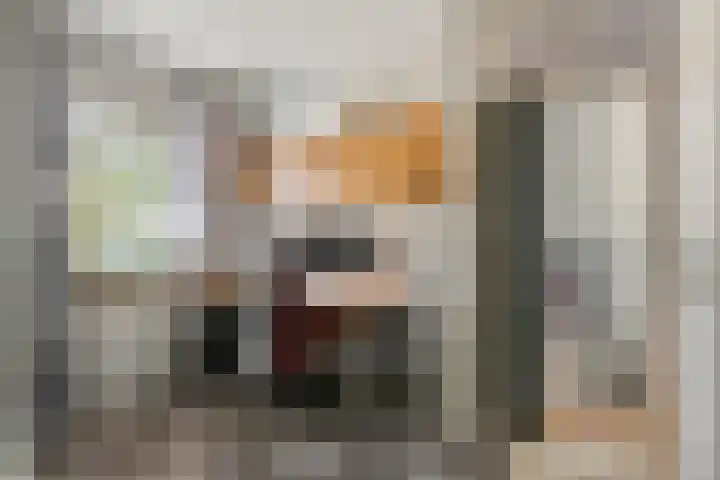 De Geer 1 Ophemert thumbnail 25