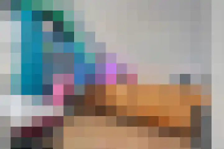 De Geer 1 Ophemert thumbnail 29