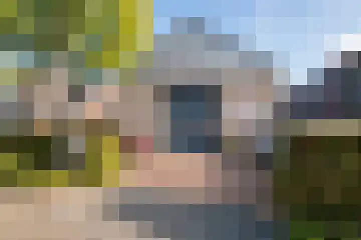 De Geer 1 Ophemert foto 3