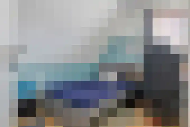 De Geer 1 Ophemert thumbnail 31