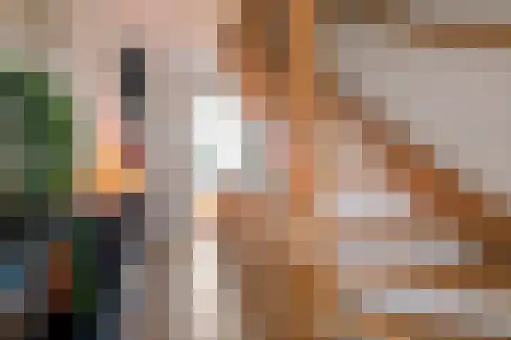 De Geer 1 Ophemert thumbnail 33