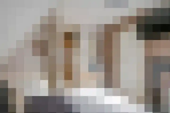De Geer 1 Ophemert thumbnail 35