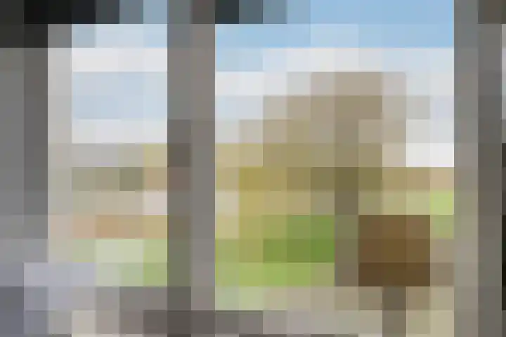 De Geer 1 Ophemert thumbnail 36