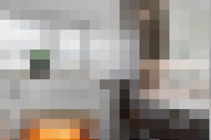 De Geer 1 Ophemert thumbnail 37