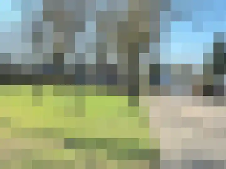 De Geer 1 Ophemert thumbnail 38