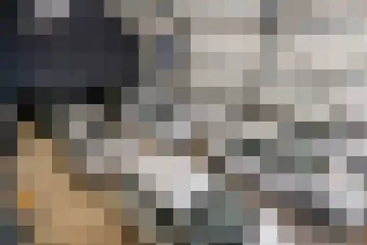 De Geer 1 Ophemert thumbnail 4