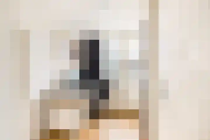 De Geer 1 Ophemert thumbnail 41