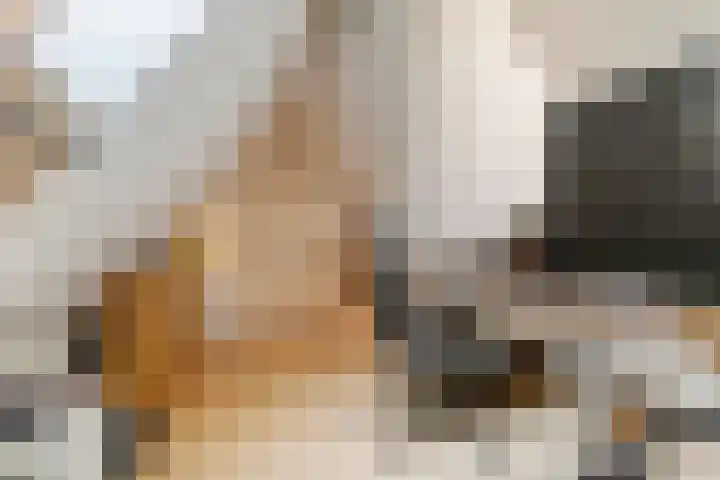 De Geer 1 Ophemert thumbnail 41