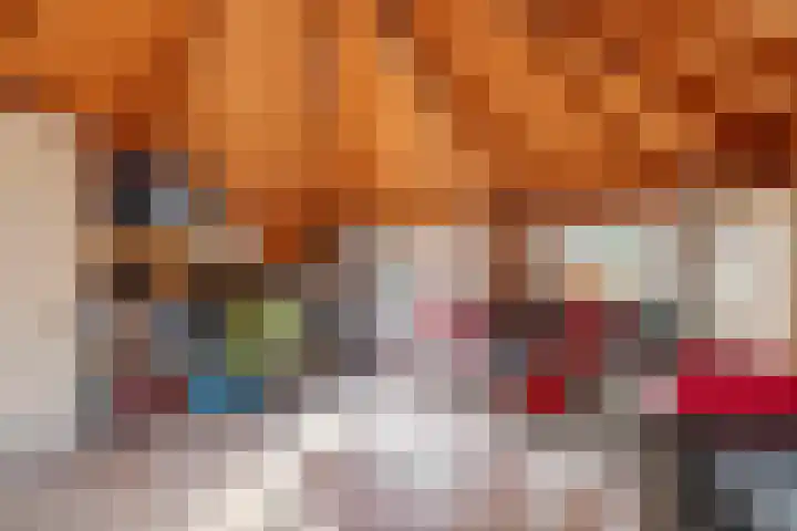 De Geer 1 Ophemert thumbnail 42