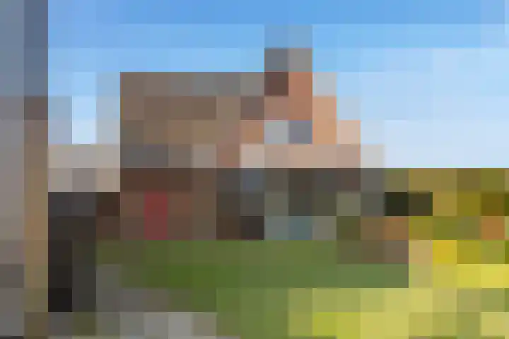 De Geer 1 Ophemert thumbnail 49
