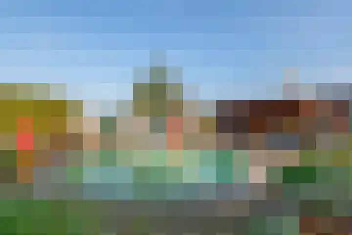 De Geer 1 Ophemert thumbnail 53