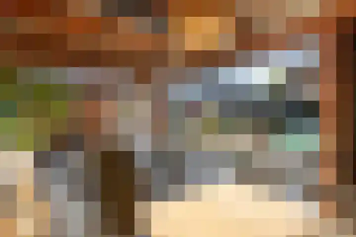 De Geer 1 Ophemert thumbnail 55