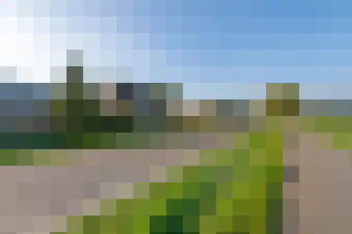 De Geer 1 Ophemert thumbnail 58