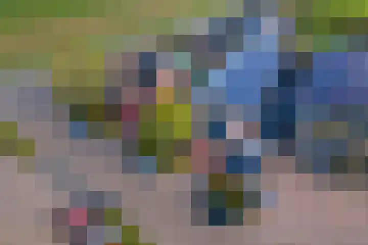 De Geer 1 Ophemert thumbnail 59