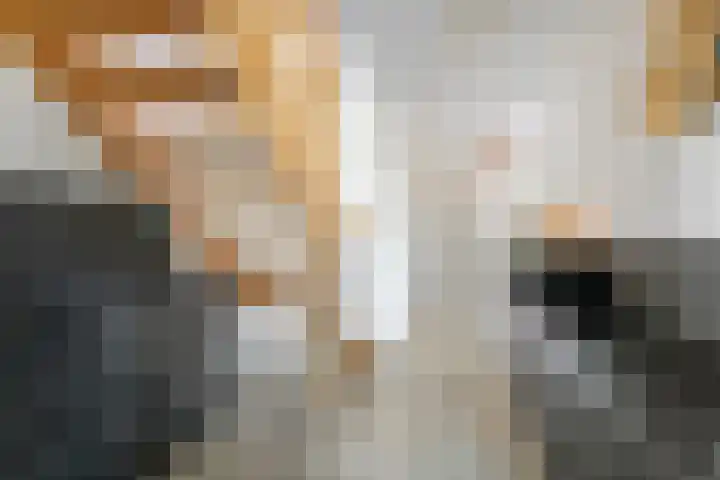 De Geer 1 Ophemert thumbnail 6