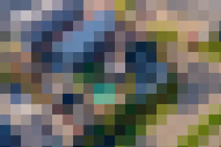 De Geer 1 Ophemert thumbnail 60