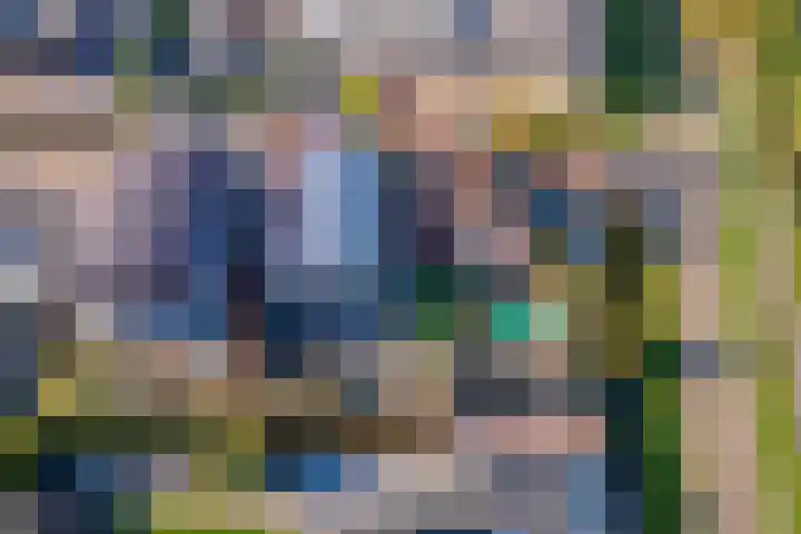 De Geer 1 Ophemert thumbnail 61