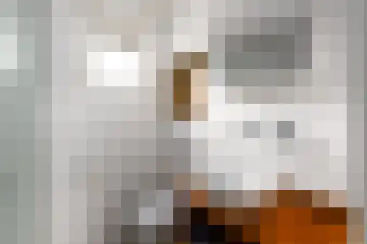 De Geer 1 Ophemert thumbnail 62