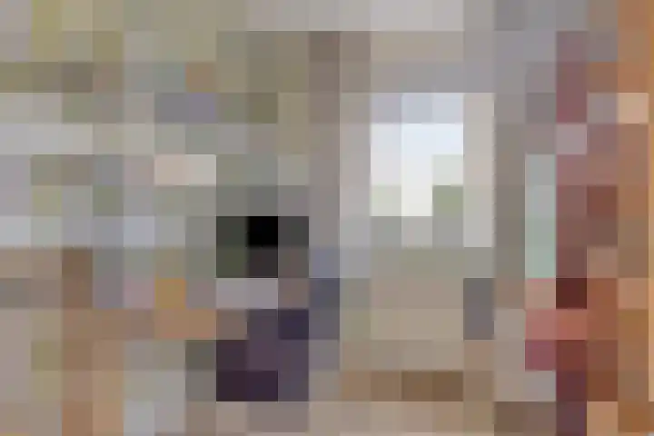 De Geer 1 Ophemert thumbnail 64