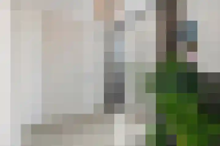 De Geer 1 Ophemert thumbnail 7