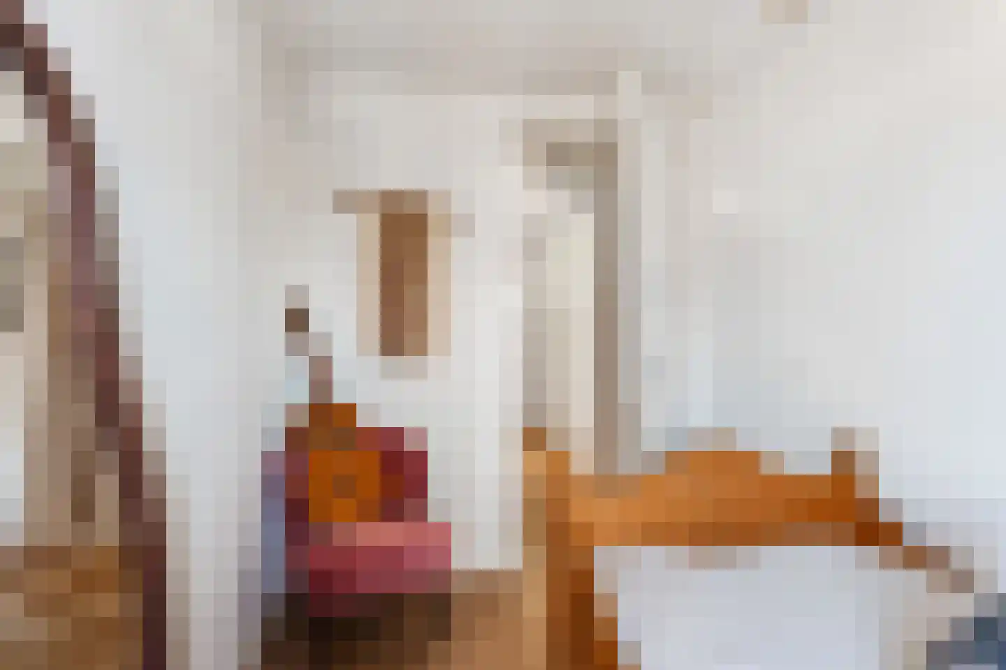 De Geer 1 Ophemert thumbnail 8