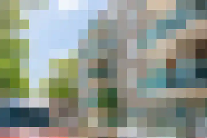 de Geer 1007 Wijchen thumbnail 11