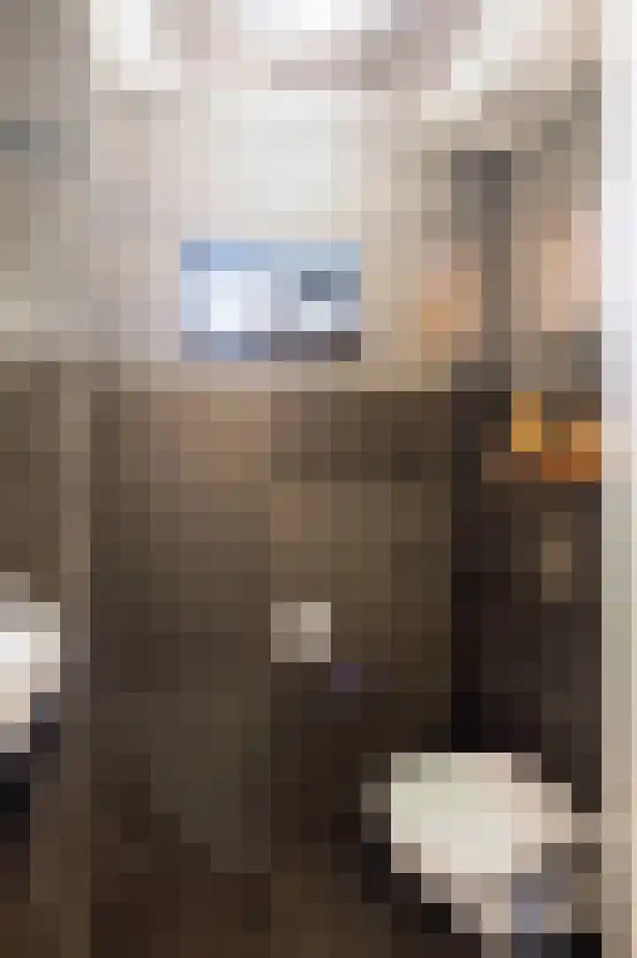 de Geer 1007 Wijchen thumbnail 13