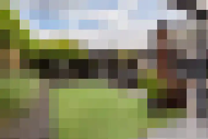 de Geer 1007 Wijchen thumbnail 14