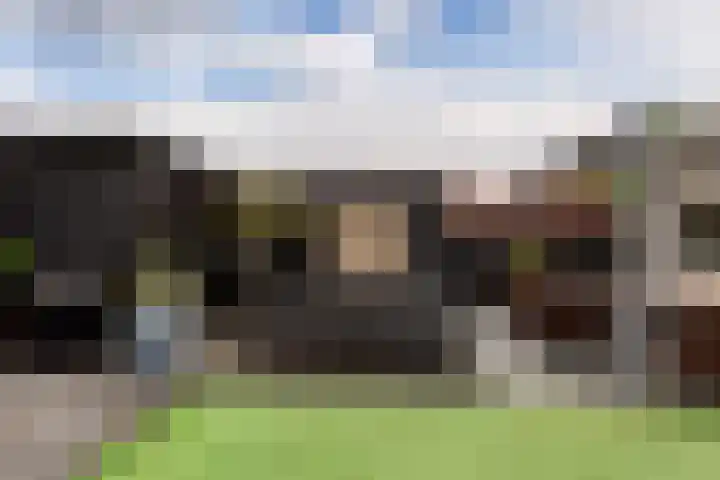de Geer 1007 Wijchen thumbnail 15