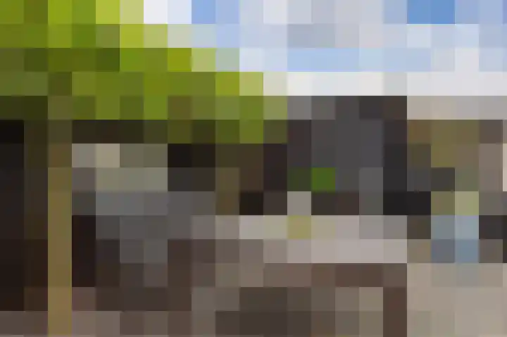 de Geer 1007 Wijchen thumbnail 16