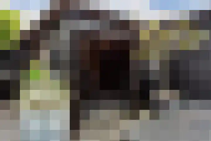 de Geer 1007 Wijchen thumbnail 20