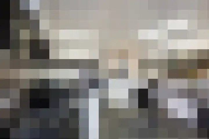 de Geer 1007 Wijchen thumbnail 21