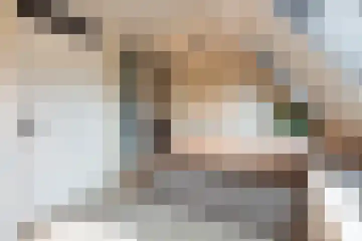 de Geer 1007 Wijchen thumbnail 24