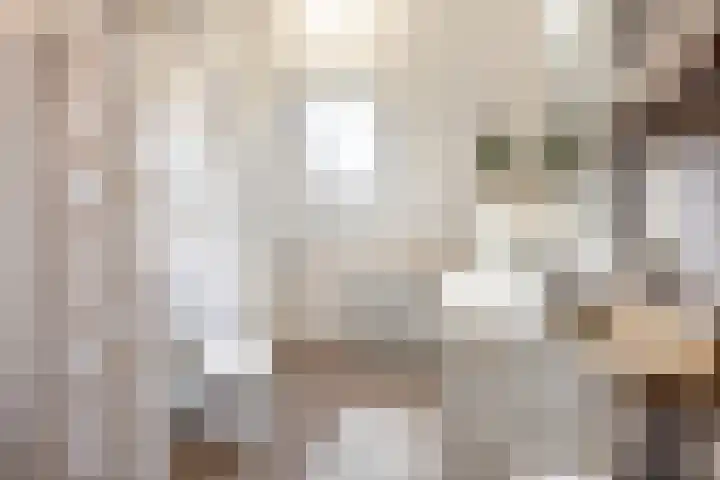 de Geer 1007 Wijchen thumbnail 25
