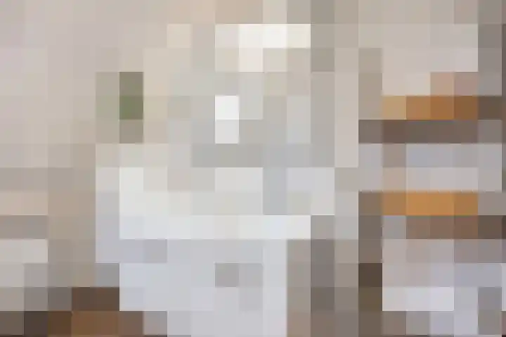 de Geer 1007 Wijchen thumbnail 26