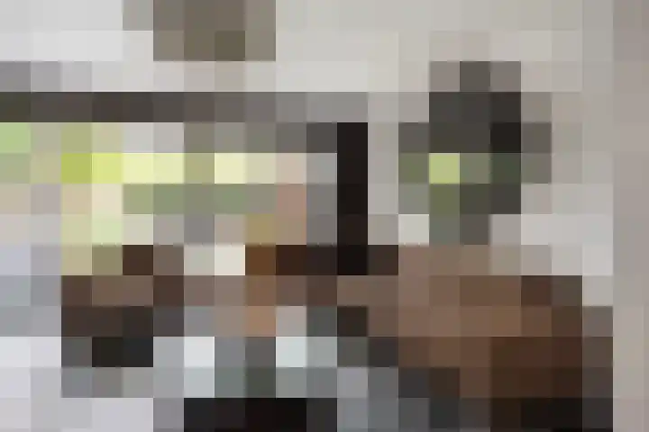 de Geer 1007 Wijchen thumbnail 6