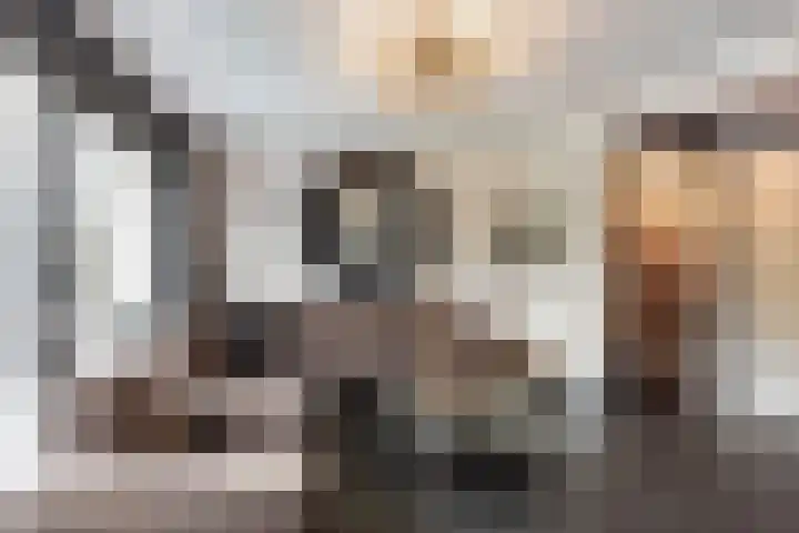 de Geer 1007 Wijchen thumbnail 9