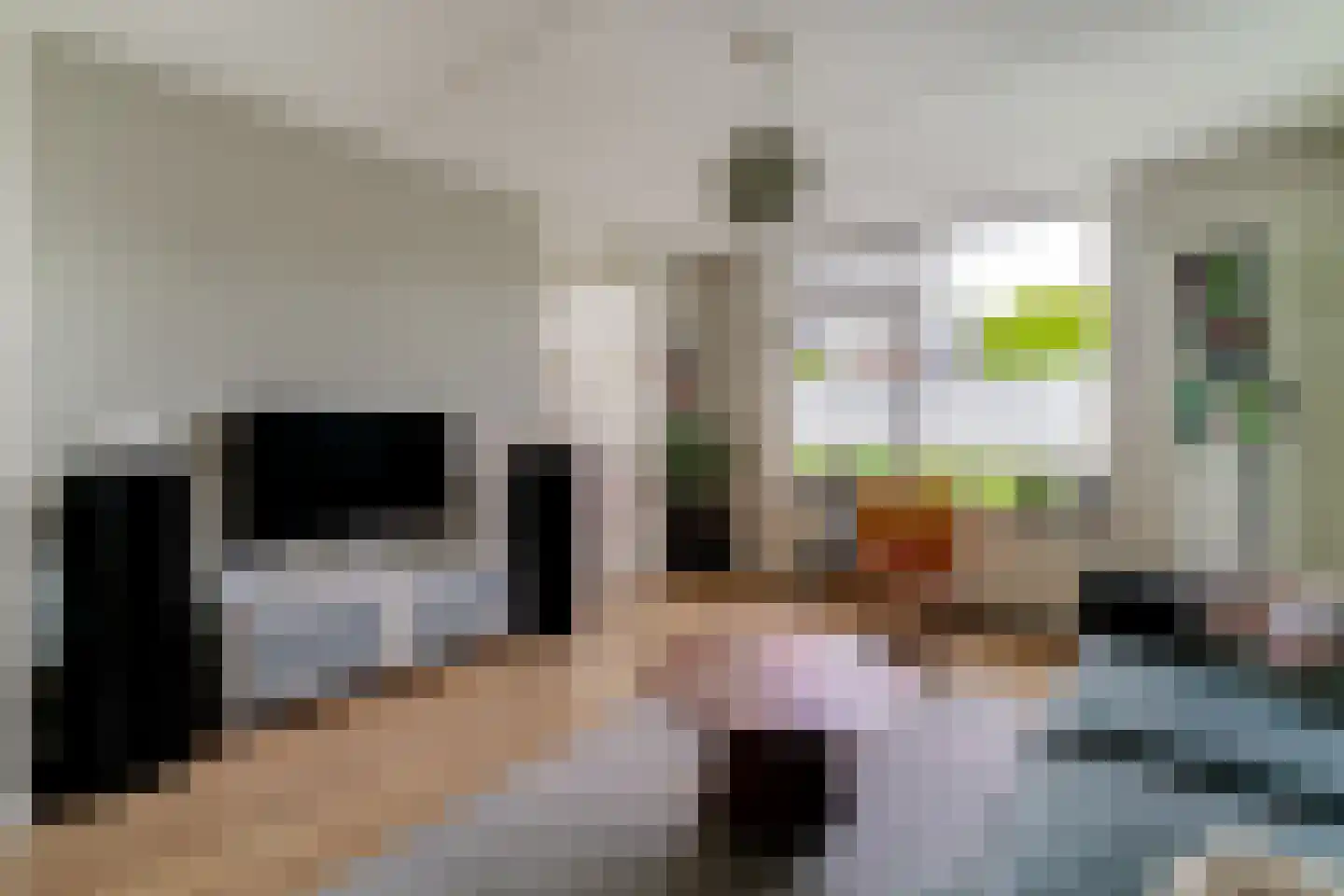 de Geer 1138 Wijchen thumbnail 10