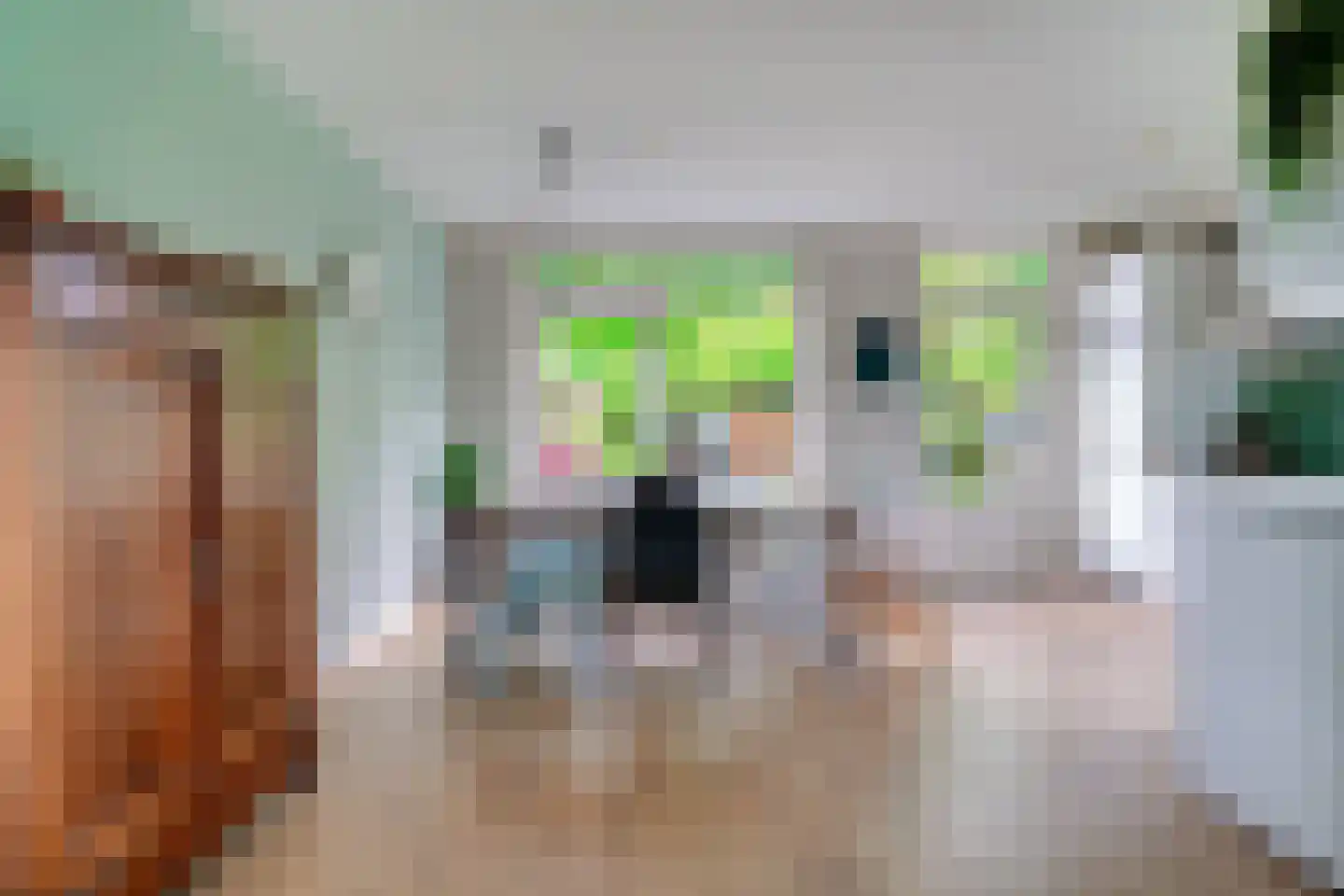 de Geer 1138 Wijchen thumbnail 11