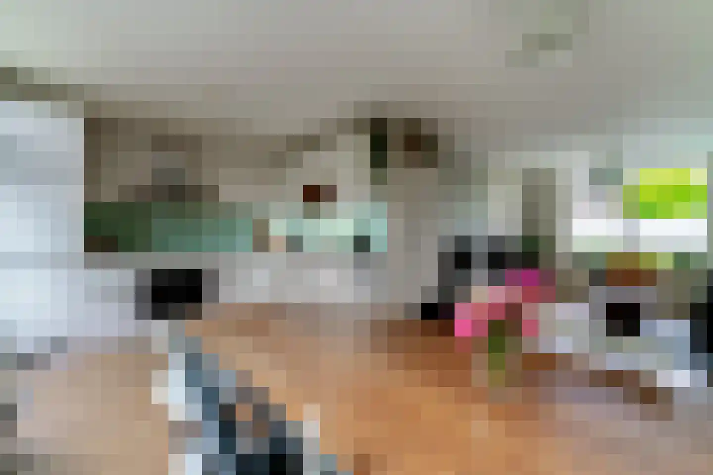 de Geer 1138 Wijchen thumbnail 12