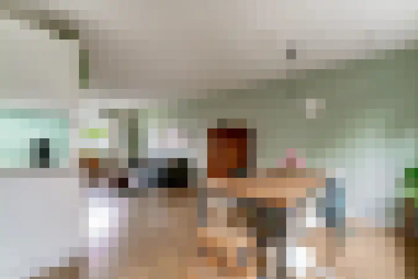 de Geer 1138 Wijchen thumbnail 13