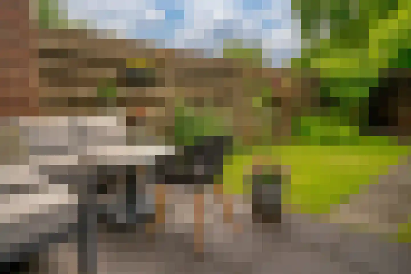 de Geer 1138 Wijchen thumbnail 18