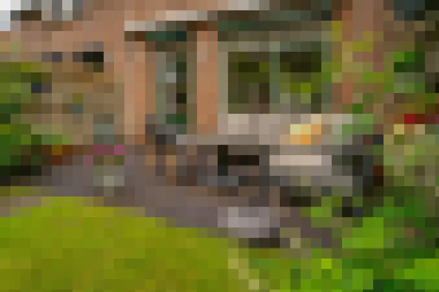 de Geer 1138 Wijchen thumbnail 19