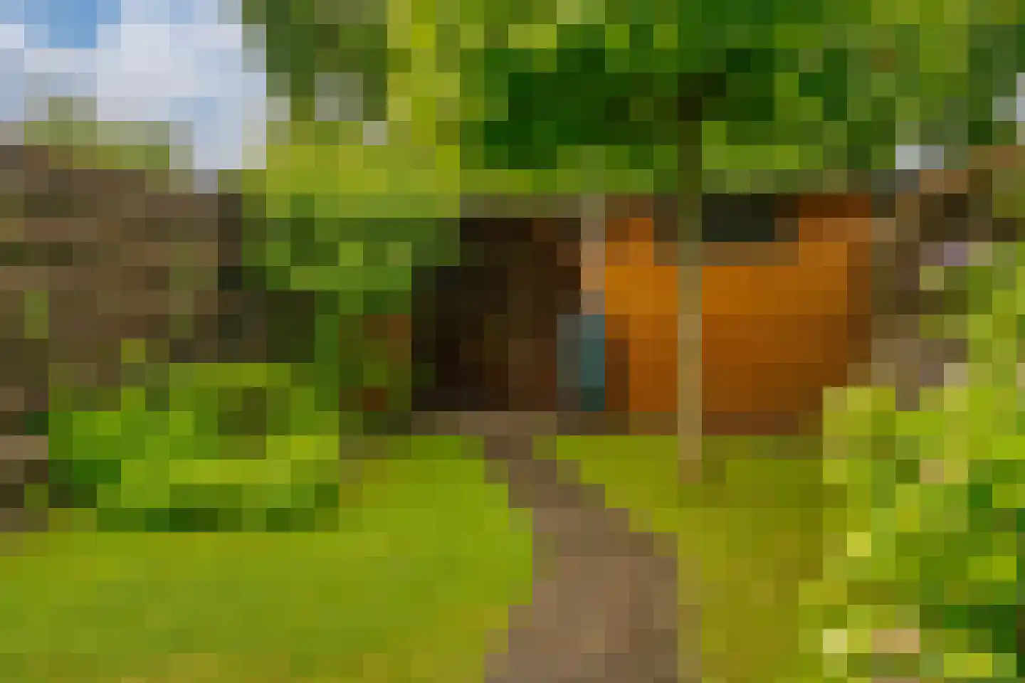de Geer 1138 Wijchen thumbnail 21