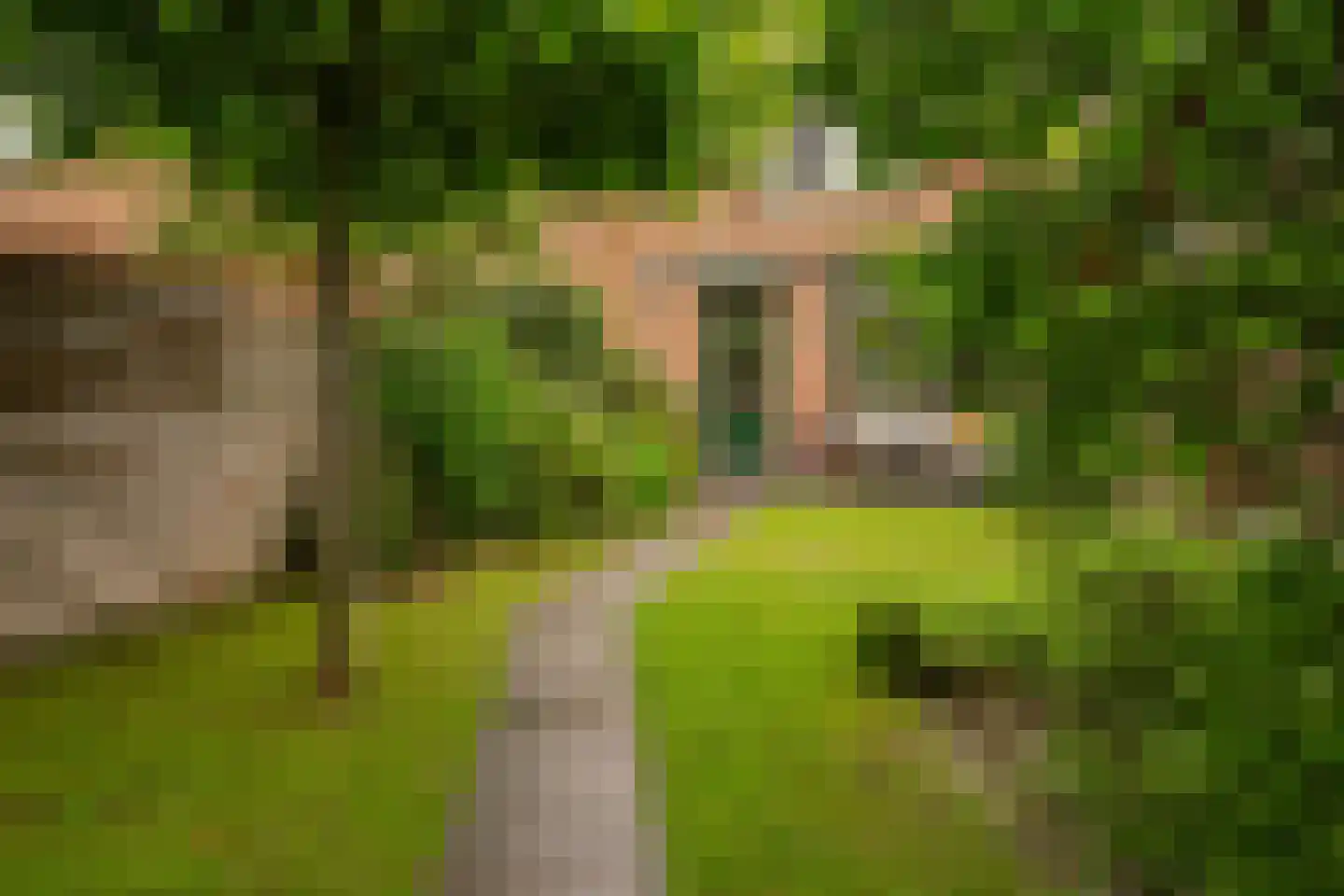 de Geer 1138 Wijchen thumbnail 22