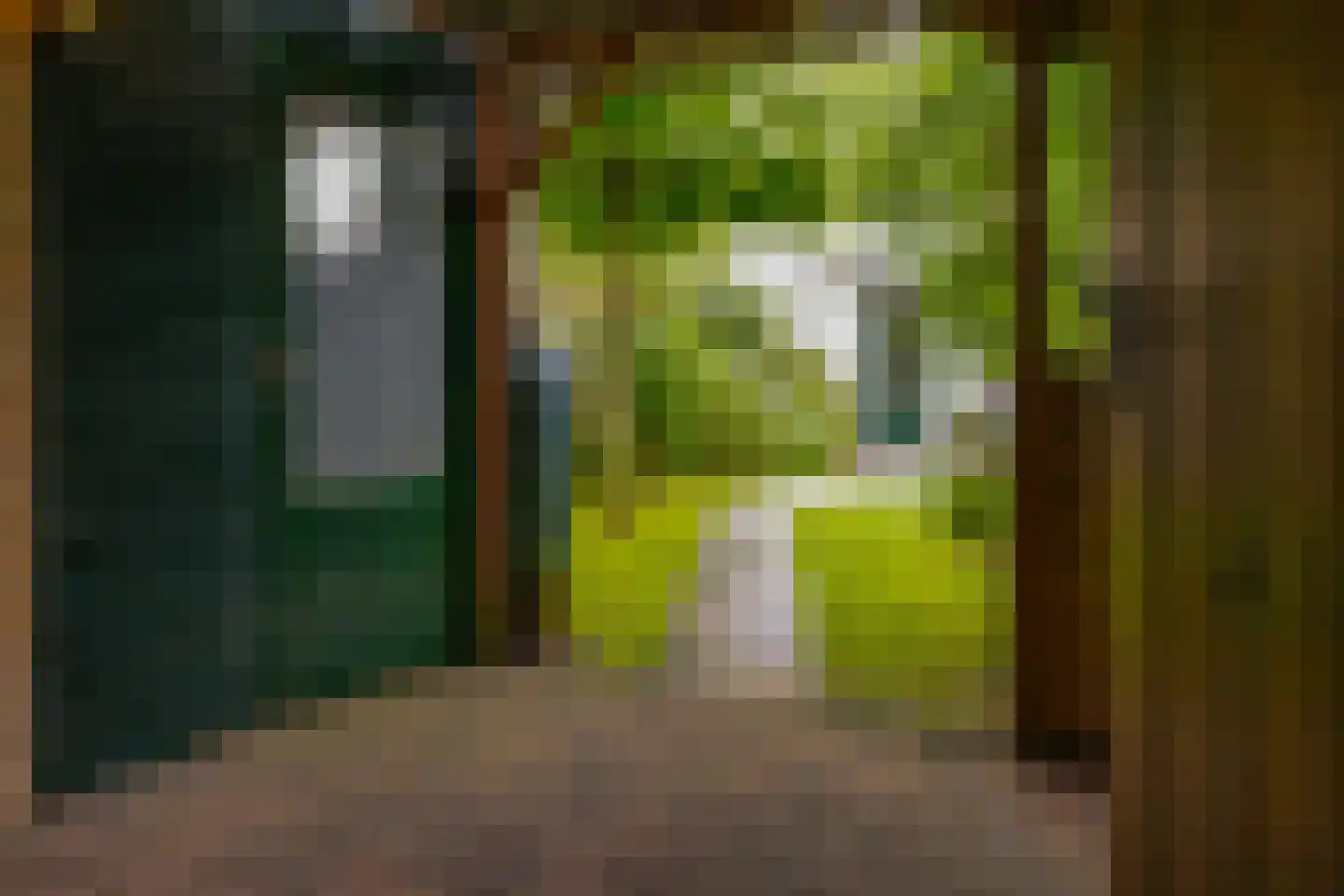 de Geer 1138 Wijchen thumbnail 23